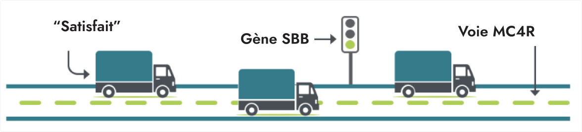 Frame 9374 Une illustration représentant trois camions sur une route, chacun avec des textes différents. Le premier camion est étiqueté « Satisfait », le second « Gène SBB » avec un feu de circulation avert à côté. Le troisième camion est étiqueté « Voie MC4R ».