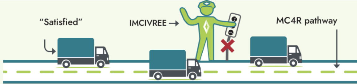 Placeholder Image Diagram depicting trucks labeled "Satisfied" and "MC4R pathway," with a person marked "IMCIVREE" redirecting one truck while blocking another.