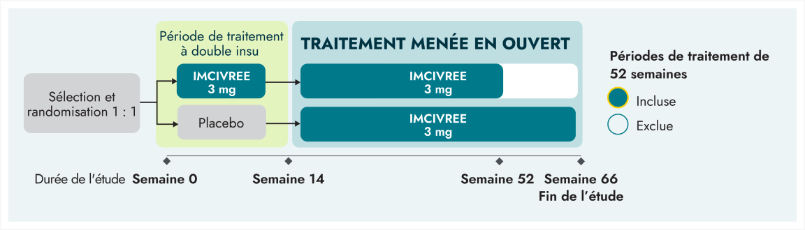 Frame 9401 Un logigramme illustre le déroulement d’un essai clinique de phase 3 comprenant des périodes de traitement en double aveugle et en ouvert. Les patients reçoivent soit 3 mg d’IMCIVREE, soit un placebo jusqu’à la semaine 14, puis ils reçoivent uniquement 3 mg d’IMCIVREE de la semaine 14 à la semaine 66 pour la diminution de l’obésité. Les périodes de traitement sont différenciées par la couleur.